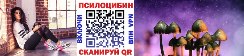 Галлюциногенные грибы Psilocybine cubensis  Купить закладки  Боготол 